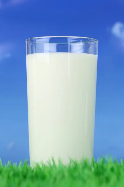 Verse melk in een glas op groene weide — Stockfoto