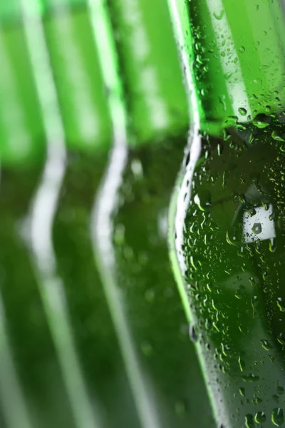 Beer bottles in a row — Stock Photo, Image