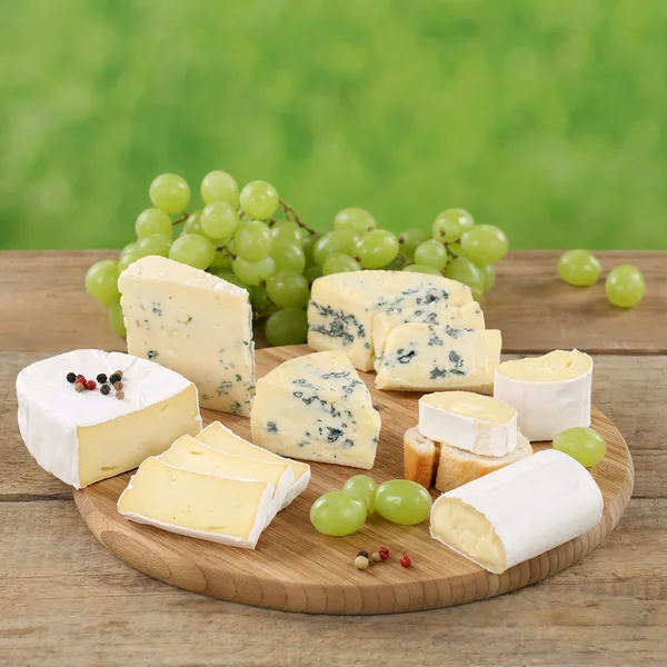 Prato de queijo com Camembert, Gorgonzola e Brie — Fotografia de Stock