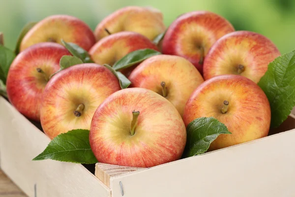 Яблоки в коробке — стоковое фото