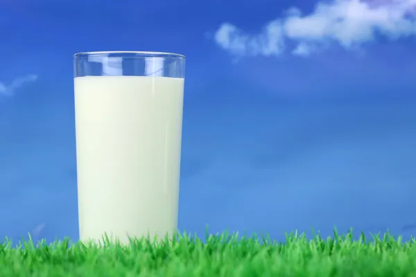 Glas met melk op groene weide en copyspace — Stockfoto