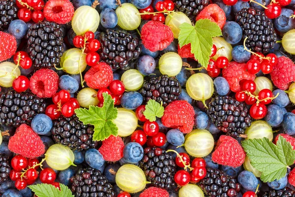 Φρούτα Μούρα Φράουλες Φράουλα Βατόμουρα Φόντο Blueberry Από Πάνω — Φωτογραφία Αρχείου