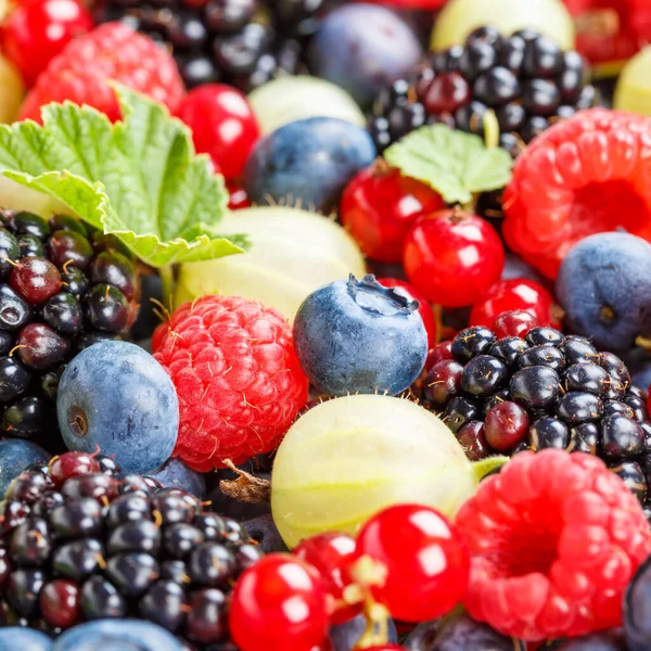 Baies Fruits Fruits Baies Fraises Fraises Bleuets Myrtilles Carré Été — Photo