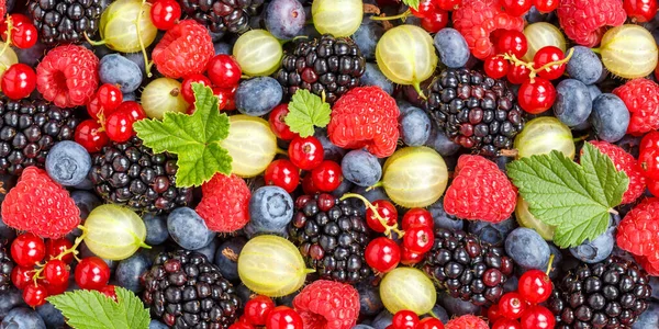 Bayas Frutas Bayas Fresas Fresas Fresas Arándanos Arándanos Panorama Fondo — Foto de Stock