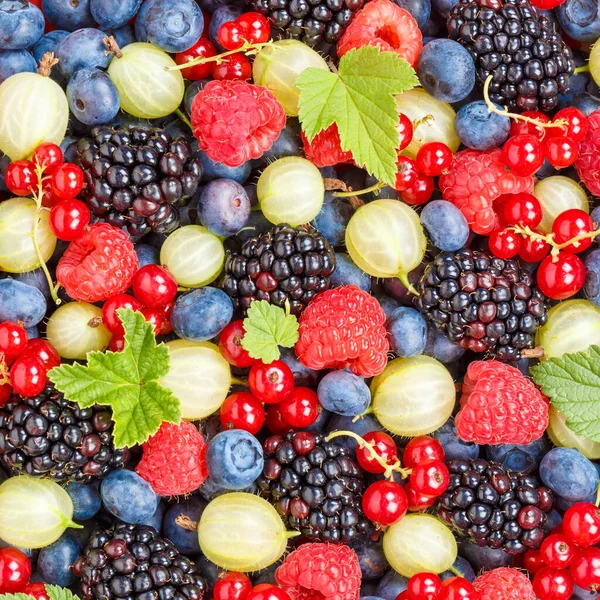果実果実果実イチゴイチゴブルーベリー上からの正方形の背景 — ストック写真