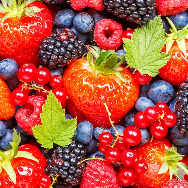 Berries Fruits Berry Fruit Strawberries Strawberry Blueberries Blueberry Square Background — Stockfoto