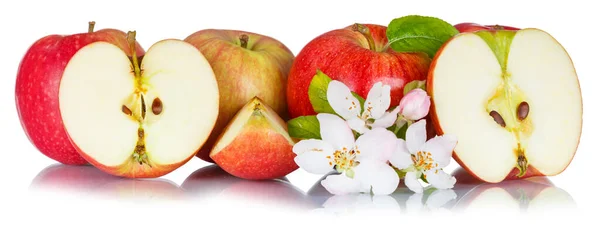 Μήλα Φρούτα Κόκκινο Μήλο Συλλογή Φρούτων Φύλλα Που Απομονώνονται Λευκό — Φωτογραφία Αρχείου