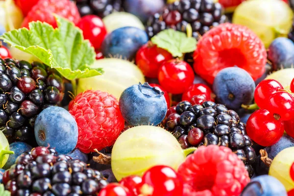 Baies Fruits Fruits Baies Fraises Fraises Bleuets Bleuets Été — Photo