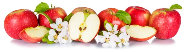 Apples Fruits Red Apple Fruit Collection Leaves Blossoms Row Isolated — Stock Photo, Image