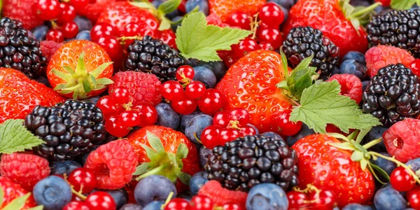 Berries Fruits Berry Fruit Strawberries Strawberry Blueberries Blueberry Panorama Summer — Stock Photo, Image