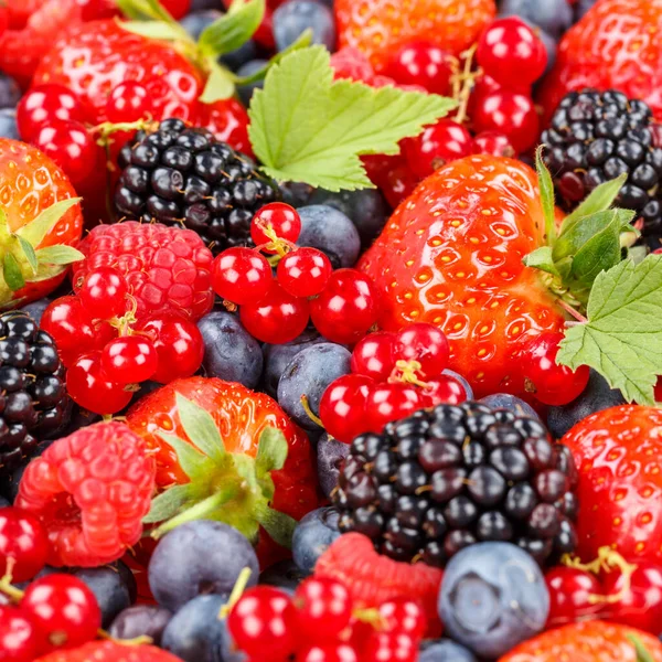 Bessen Fruit Bessen Fruit Aardbeien Aardbeien Bosbessen Bosbessen Vierkante Zomer — Stockfoto
