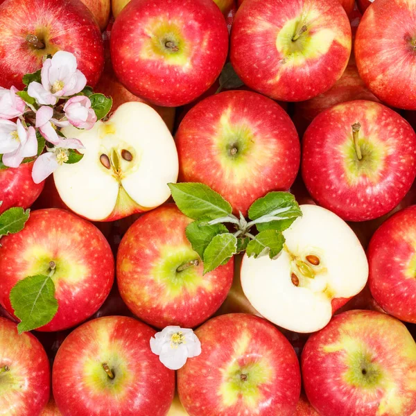 Μήλα Φρούτα Κόκκινο Μήλο Φρούτα Φύλλα Από Πάνω Τετράγωνο Φόντο — Φωτογραφία Αρχείου