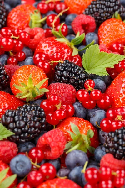 Bayas Frutas Bayas Fresas Fresas Fresas Arándanos Arándanos Formato Retrato —  Fotos de Stock