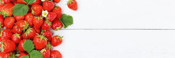 Morangos Bagas Frutas Fruta Morango Com Espaço Cópia Copyspace Panorama — Fotografia de Stock