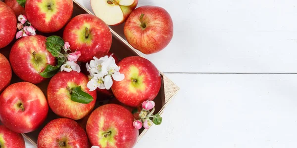 Apples Fruits Red Apple Fruit Leaves Copyspace Copy Space Wooden — Stockfoto