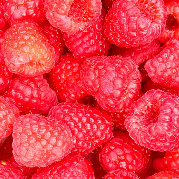 Raspberry Berry Raspberries Berries Fruits Fruit Background Square — Stockfoto