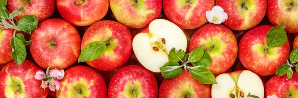 Apples Fruits Red Apple Fruit Leaves Panorama Background Sliced — Foto Stock