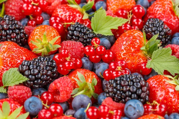 Baies Fruits Fruits Baies Fraises Fraises Bleuets Bleuets Été — Photo