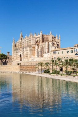 Katedral Katedrali Palma de Mallorca Kilisesi mimarisi İspanya 'da tatil portresi formatında seyahat ediyor.