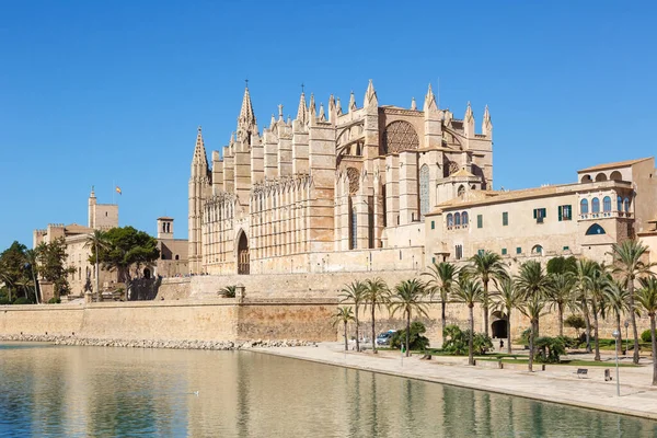 Cathédrale Catedral Palma Majorque Seu Architecture Église Voyage Vacances Ville — Photo