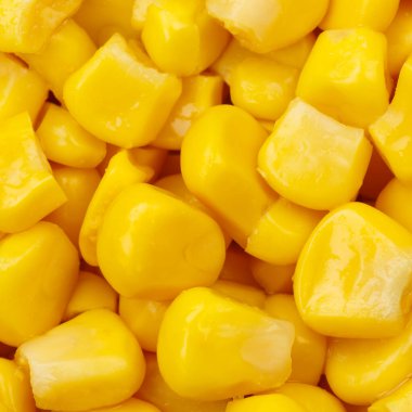 Mısır arkaplan sebze sebzeler kare üst görünüm