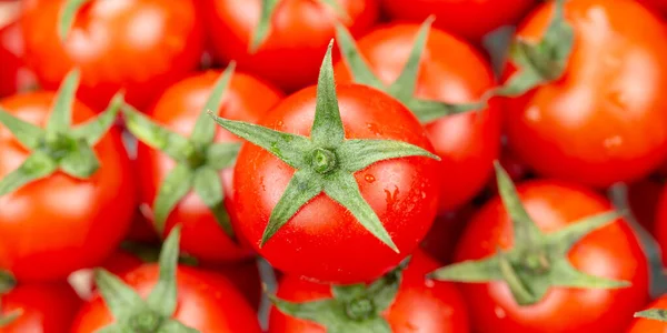 パノラマ上からのトマトトマトトマト野菜 Top View — ストック写真