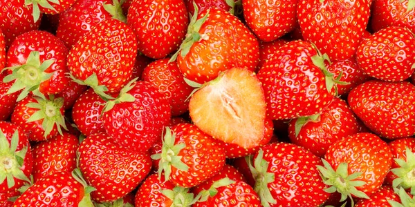 Fraises Fruits Fraise Fruit Panorama Haut Frais — Photo