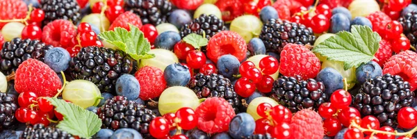 Berries Fruits Berry Fruit Strawberries Strawberry Blueberries Blueberry Panorama Summer — Foto Stock
