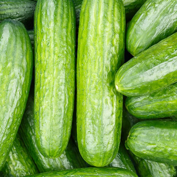 Gurken Hintergrund Gemüse Gemüse Von Oben Quadratische Ansicht Von Oben — Stockfoto