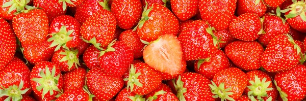 Aardbeien Bessen Vruchten Aardbeien Fruit Panorama Van Boven Vers — Stockfoto