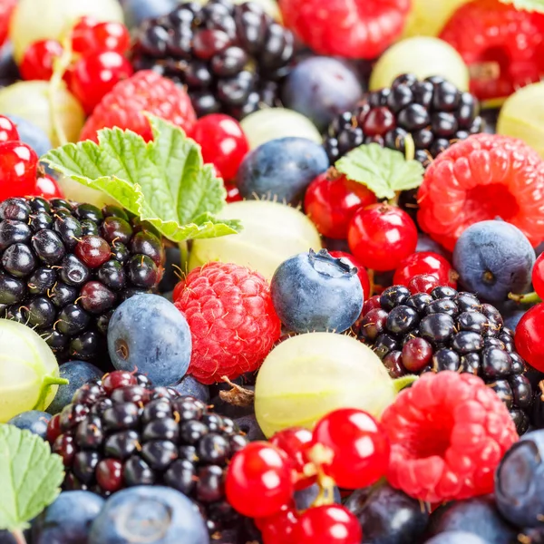 Bayas Frutas Bayas Frutas Fresas Fresas Arándanos Arándanos Arándanos Cuadrado —  Fotos de Stock