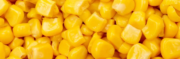 Corn Background Vegetable Vegetables Panorama Top View — Stock Photo, Image