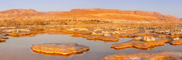 Dead Sea Panorama Israel Salt Islands Sunrise Morning Landscape Nature — Stock Photo, Image