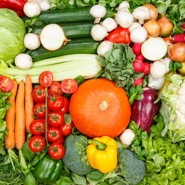 Voedselachtergrond Groenten Verzamelen Vierkante Tomaten Wortelen Aardappelen Bel Peper Groente — Stockfoto