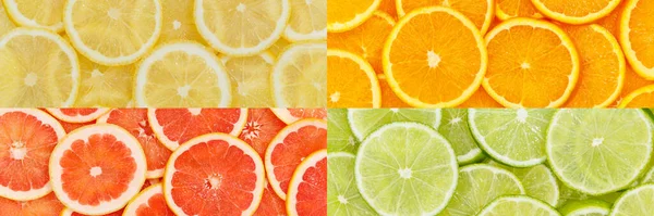 柑橘类水果柑橘类柠檬食品背景横幅收集拼凑而成的水果背景 — 图库照片