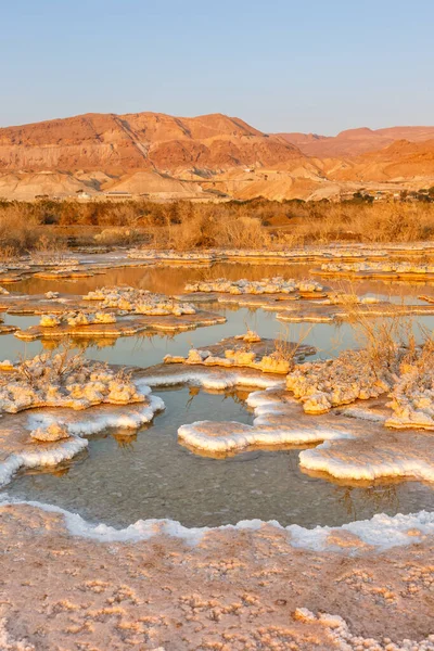 Sunrise Dead Sea Israel Landscape Salt Portrait Format Morning Nature — Stock Photo, Image