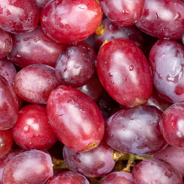 Red Grapes Grape Fruits Fruit Background Square Fresh — Stock Photo, Image