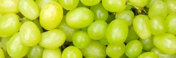 Grüne Trauben Trauben Früchte Obst Hintergrund Von Oben Panorama Frisch — Stockfoto
