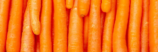 胡萝卜 胡萝卜 背景蔬菜 — 图库照片