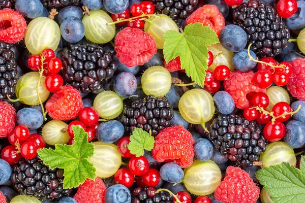 Frutti Bosco Frutti Bosco Fragole Fragole Mirtilli Mirtillo Dall Alto — Foto Stock