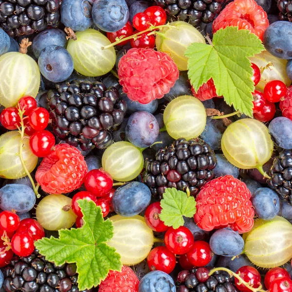 Buah Berry Berry Berry Stroberi Blueberry Stroberi Dari Atas Persegi — Stok Foto