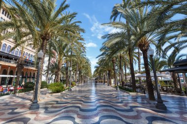Alicante Alacant şehir bulvarı Esplanada d 'Espanya Palmiye ile İspanya' da seyahat tatili