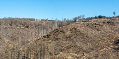 Çevresel yıkım iklim değişikliği kriz çevre doğa orman dieback panorama Harz, Almanya 'da Brocken dağ