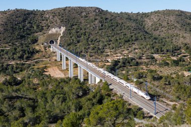 Roda de Bera, İspanya - 20 Şubat 2022 Talgo Madrid 'de 250 hızlı RENFE treni - İspanya' da Roda de Bera yakınlarındaki Barselona yüksek hızlı demiryolu hattı.