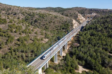 Roda de Bera, İspanya - 20 Şubat 2022 Alvia yüksek hızlı Madrid treni - Barselona yüksek hızlı demiryolu hattı Roda de Bera, İspanya.