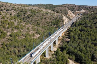 Roda de Bera, İspanya - 20 Şubat 2022 Talgo Madrid 'de 250 hızlı RENFE treni - İspanya' da Roda de Bera yakınlarındaki Barselona yüksek hızlı demiryolu hattı.