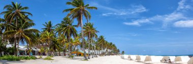 Playa Spratt Bight sahil seyahati palmiye palmiyeli panorama tatil denizi ile Kolombiya 'nın San Andres adasında