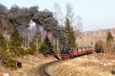 Almanya 'dan Drei Annen Hohne' dan ayrılan buharlı tren lokomotifi.