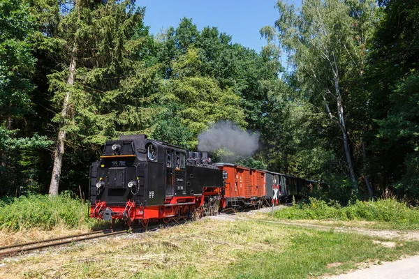 Ochsle Parní Vlak Lokomotiva Železniční Železnice Ochsenhausen Wennedach Německo — Stock fotografie