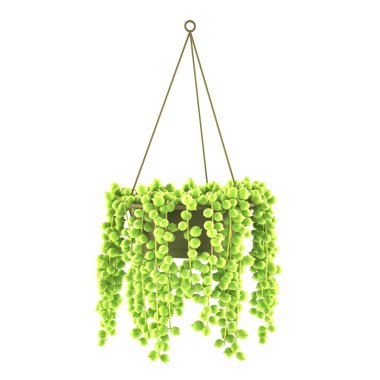 Hanging exotic pot solated clipart